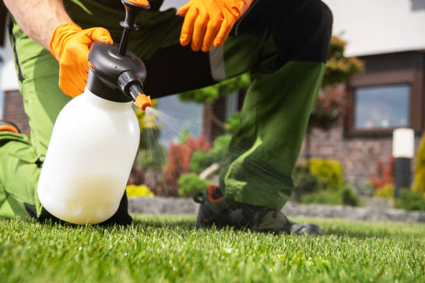 Best Rat Extermination Near Me  in Nedrow, NY