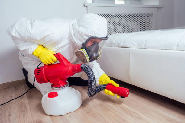 Best Affordable Pest Control Services  in Nedrow, NY