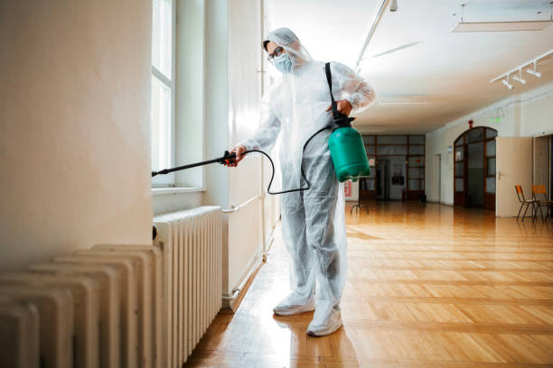 Best Emergency Pest Control  in Nedrow, NY